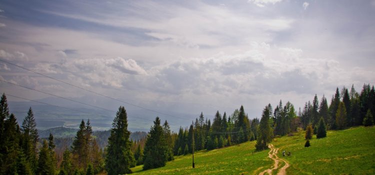 Majówka Dzień V – Turbacz Majówka Dzień V – Turbacz