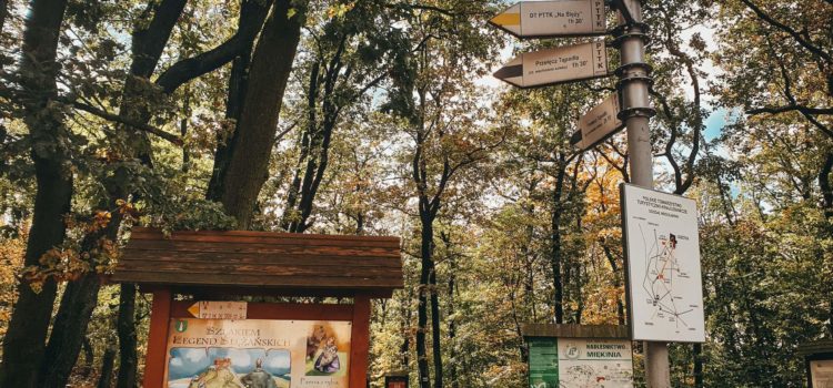 Jesienna Ślęża przez Wieżyce Jesienna Ślęża przez Wieżyce