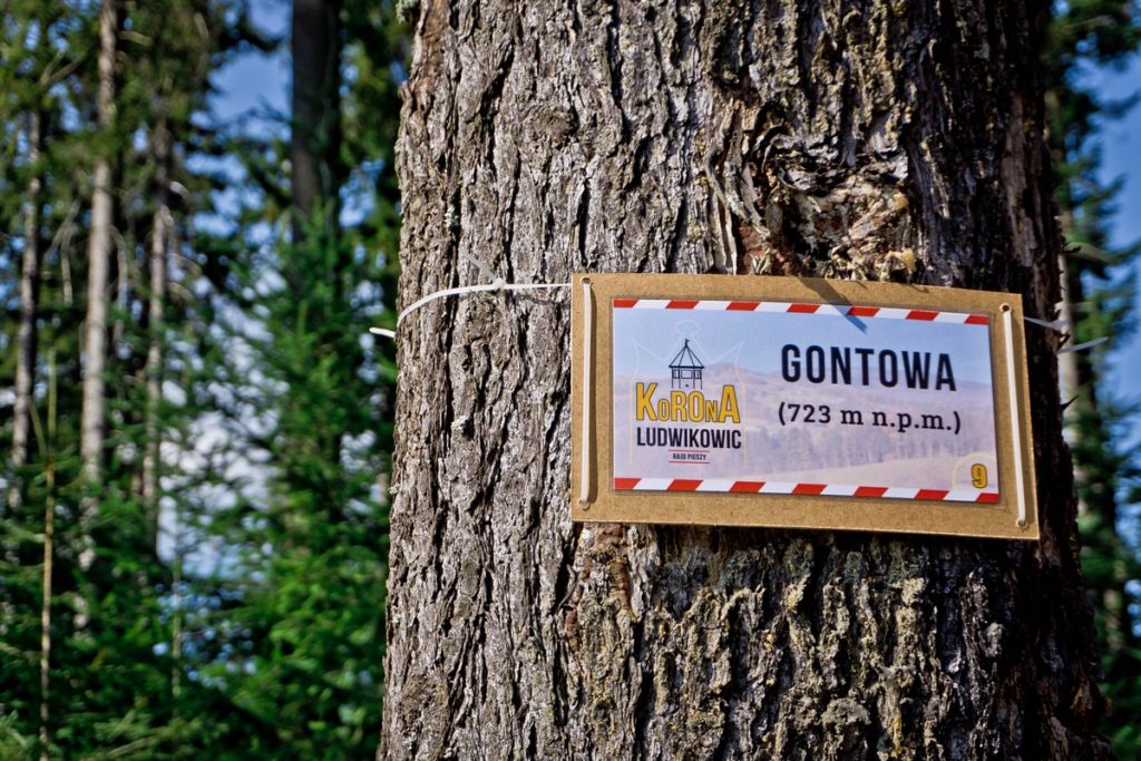 GOntowa - Góry Sowie