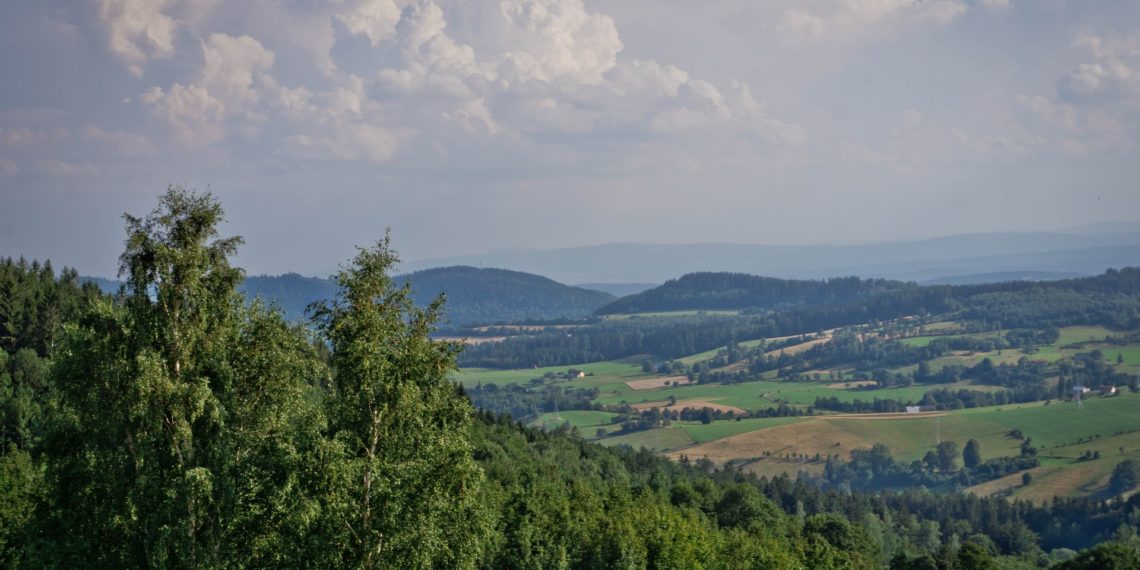 Korona Ludwikowic