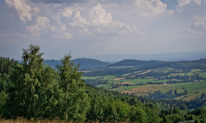 Korona Ludwikowic