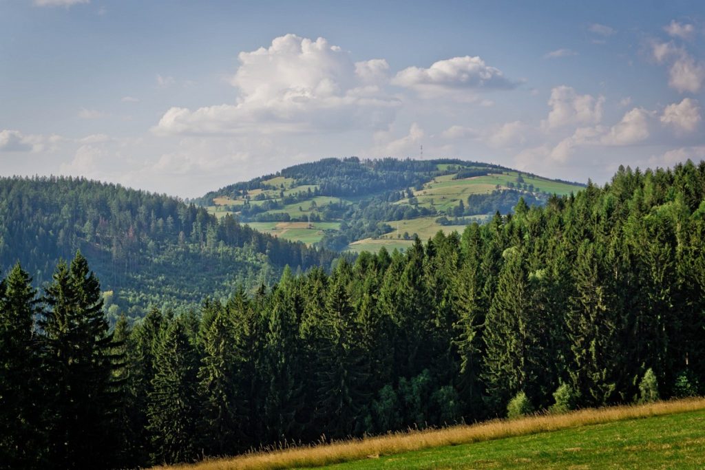Korona Ludwikowic - Rajd pieszy góry sowie