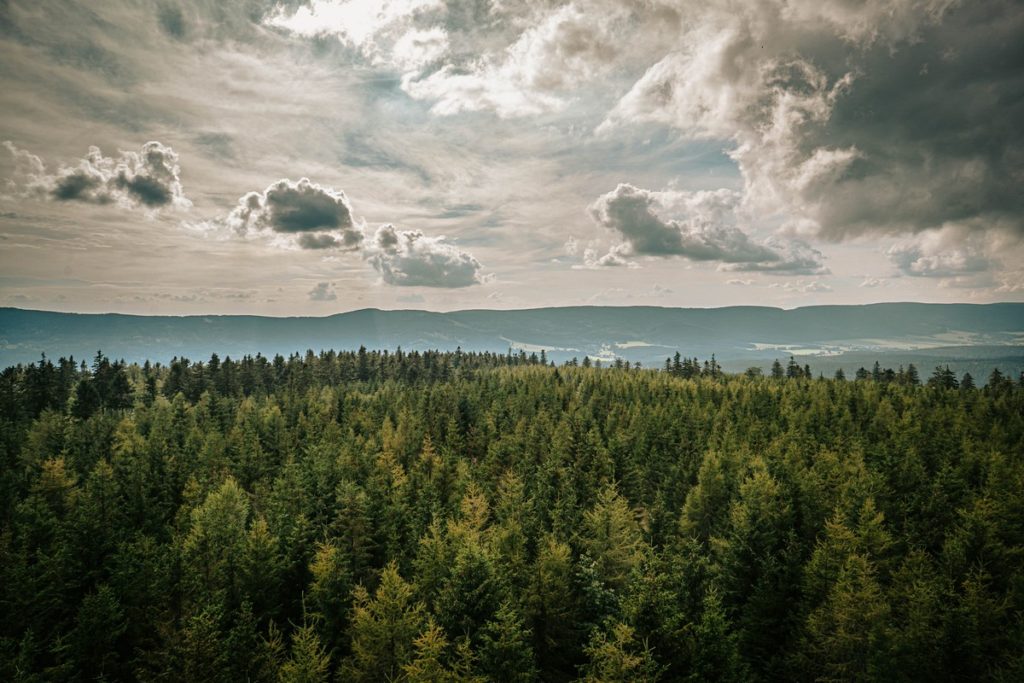 Widok z wieży widokowej Jagodna - Góry Bystrzyckie