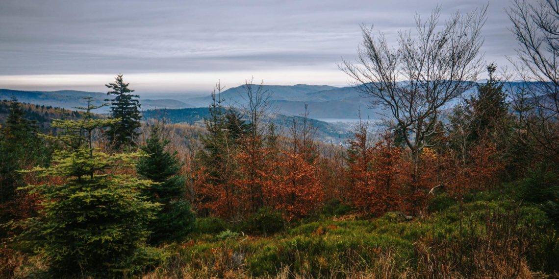 Czupel Beskid Mały - Korona Gór Polski