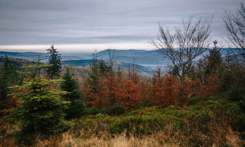 Czupel Beskid Mały - Korona Gór Polski