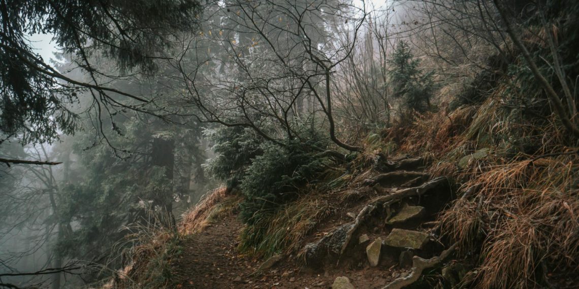 Skrzyczne Beskid Śląski - Korona Gór Polski
