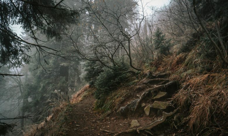 Skrzyczne Beskid Śląski - Korona Gór Polski