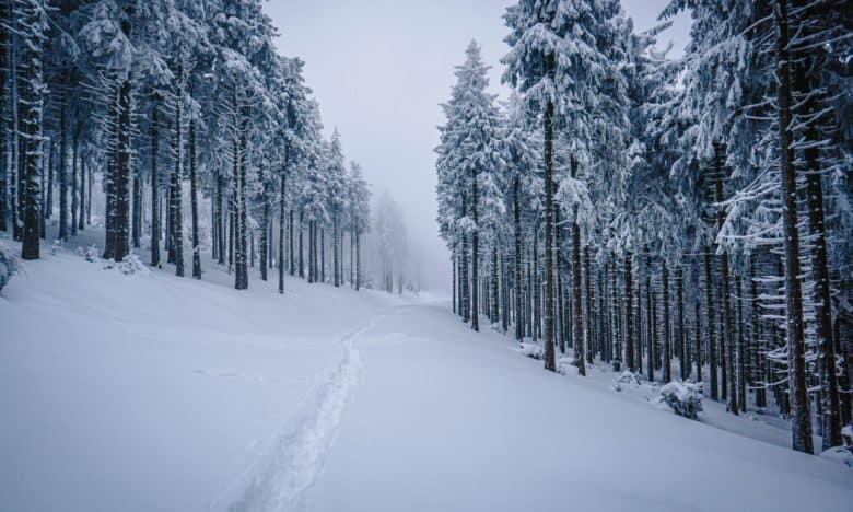 Zimowy Śnieżnik z Międzygórza